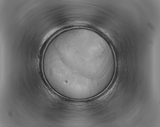 X0000115171066200911121735