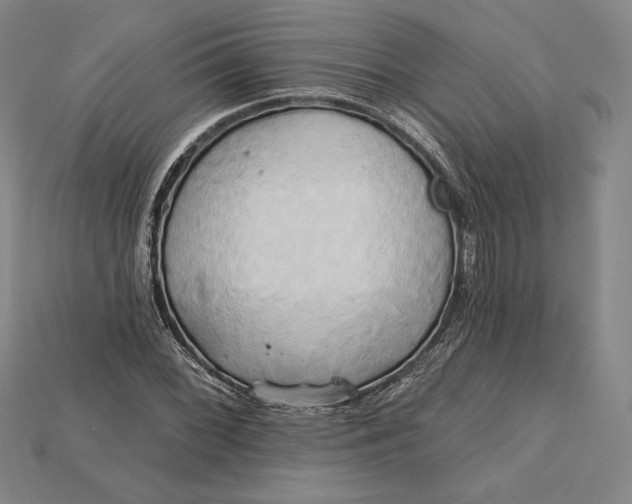 X0000115171068200911121735