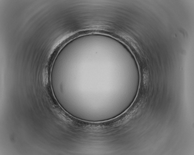 X0000115171069200911121735