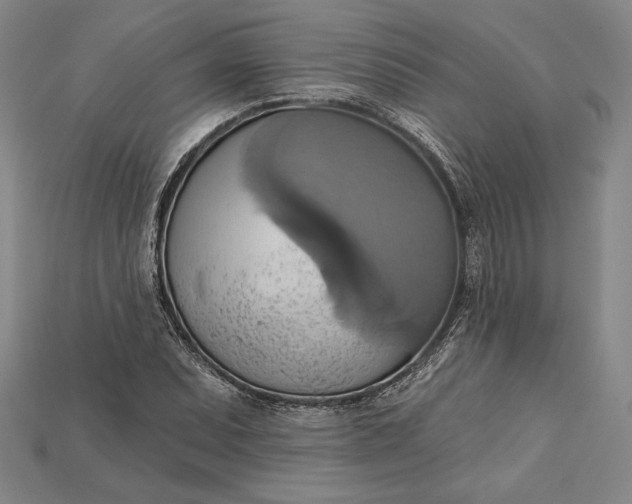 X0000115171071200911121734
