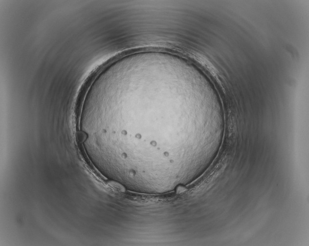 X0000115171072200911121734