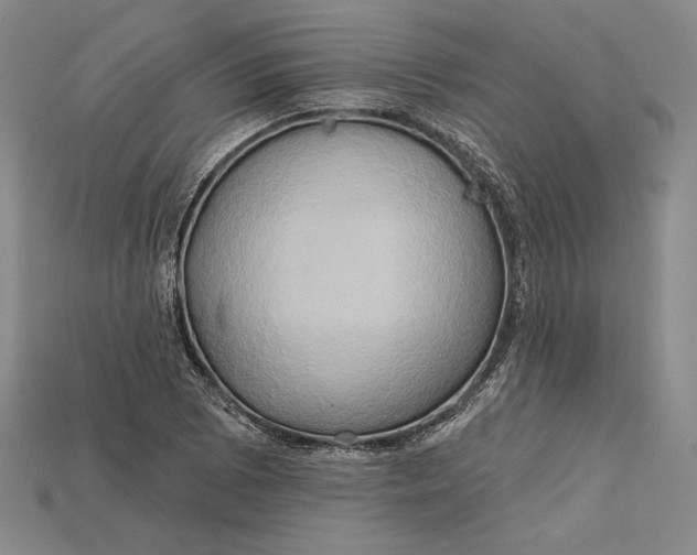 X0000115171073200911121734