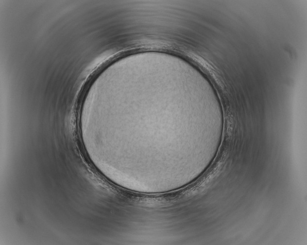 X0000115171074200911121734