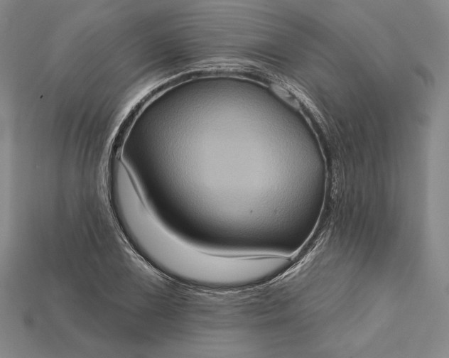 X0000115171075200911121734