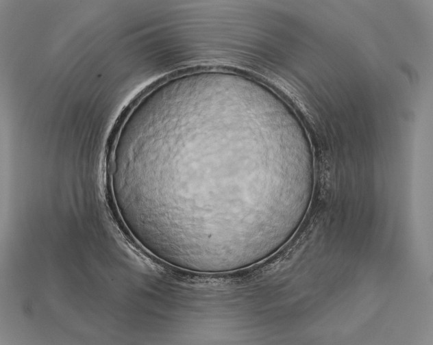 X0000115171076200911121734