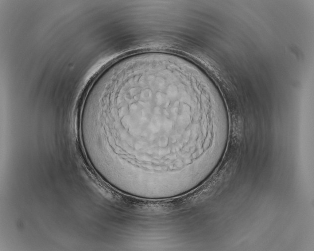 X0000115171078200911121734
