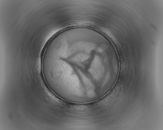 X0000115171079200911121734