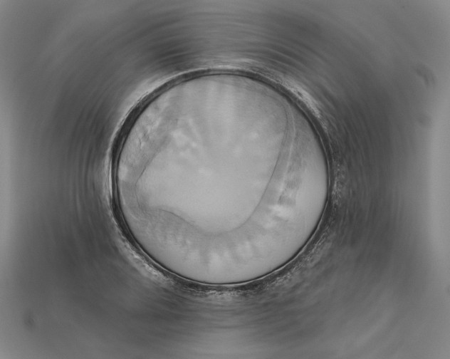 X0000115171080200911121734