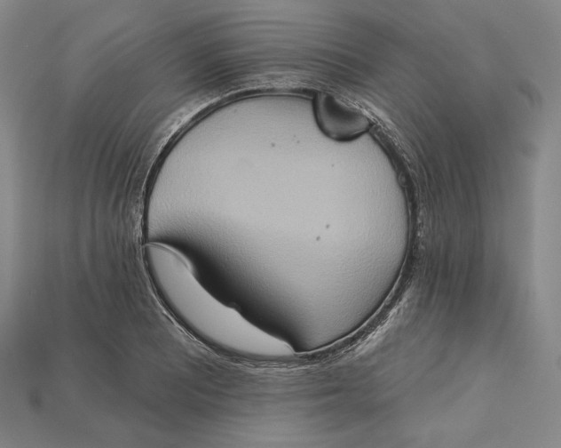X0000115171081200911121734