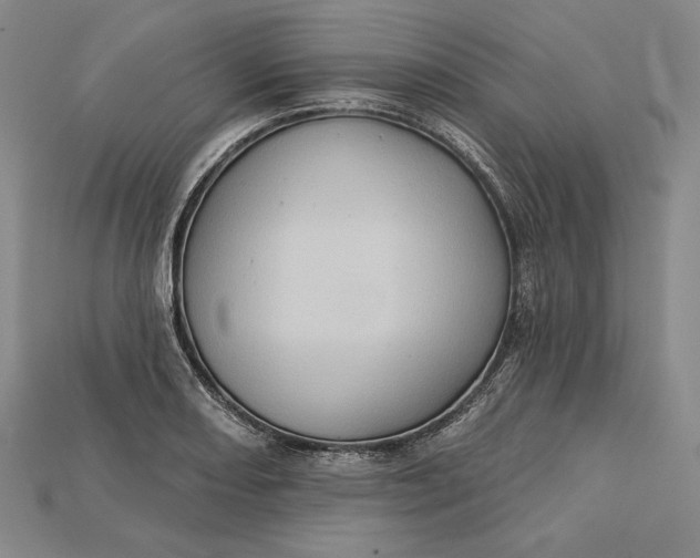 X0000115171082200911121734