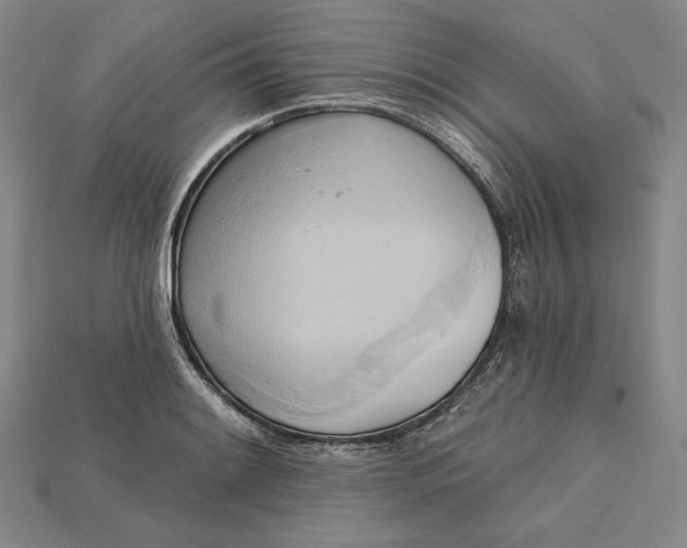 X0000115171084200911121734