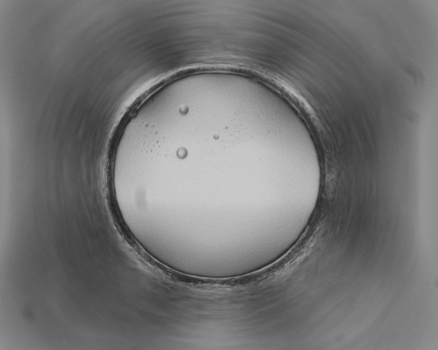 X0000115171085200911121734