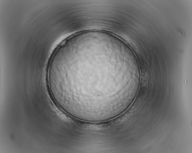 X0000115171086200911121734