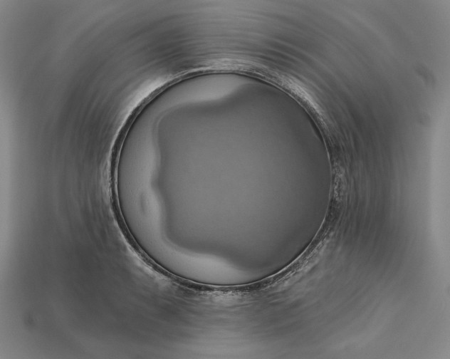 X0000115171087200911121734