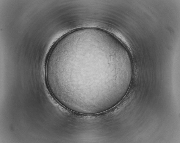 X0000115171088200911121734