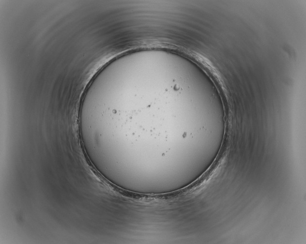 X0000115171089200911121734