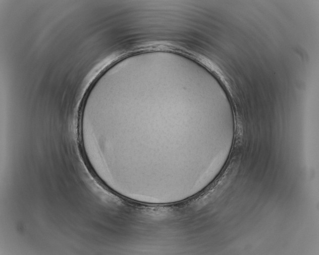 X0000115171090200911121734