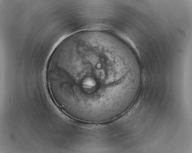 X0000115171091200911121734