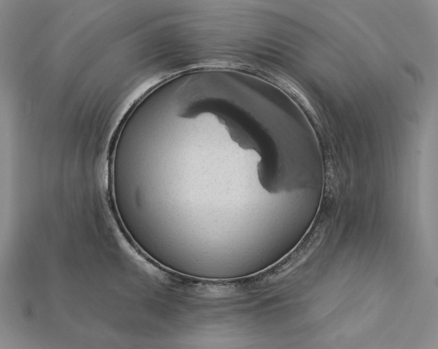 X0000115171095200911121734