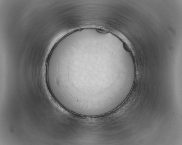 X0000115171096200911121734