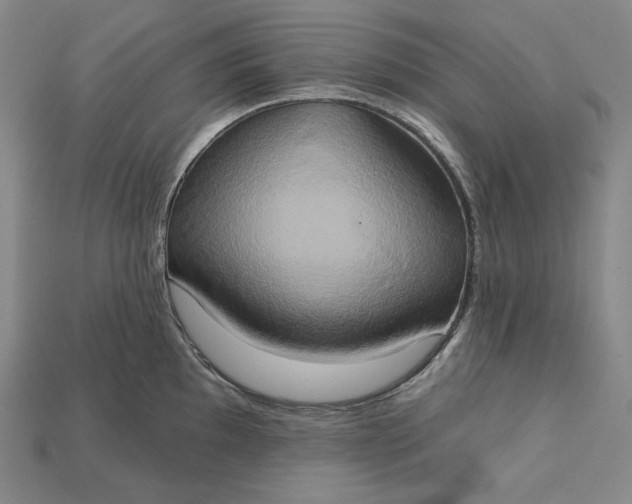 X0000115171097200911121734