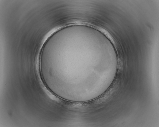 X0000115171098200911121734