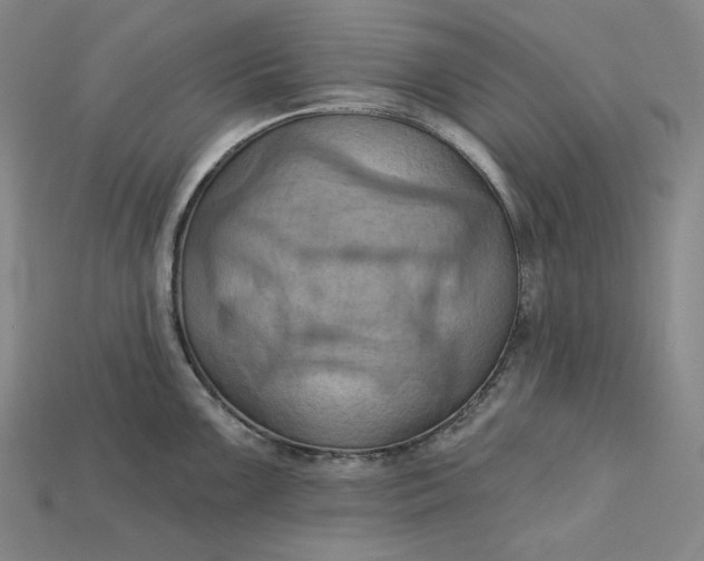 X0000115171099200911121734