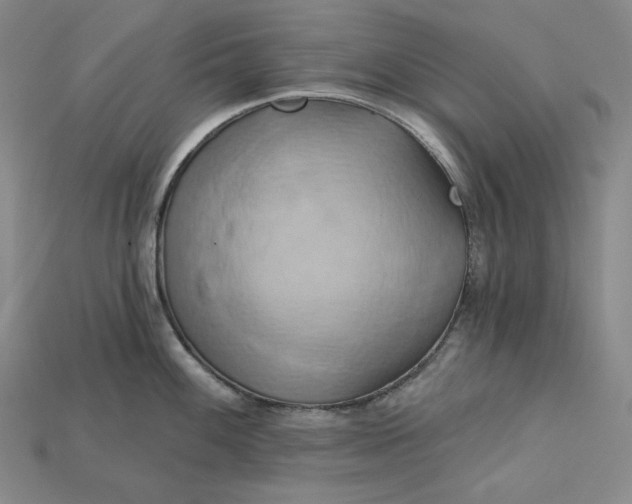 X0000115171100200911121734