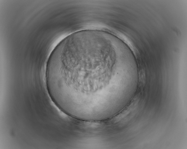 X0000115171103200911121734