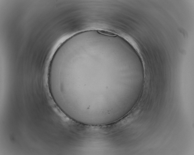 X0000115171104200911121734