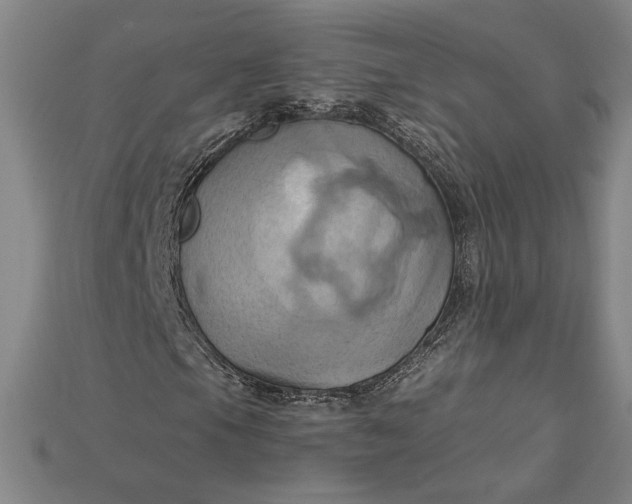 X0000115171105200911121733