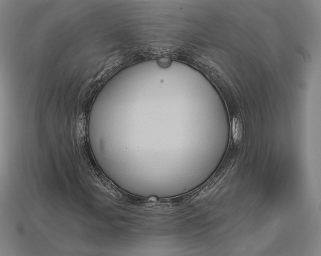 X0000115171107200911121733