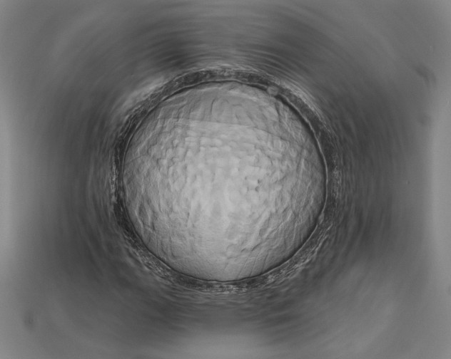 X0000115171111200911121733