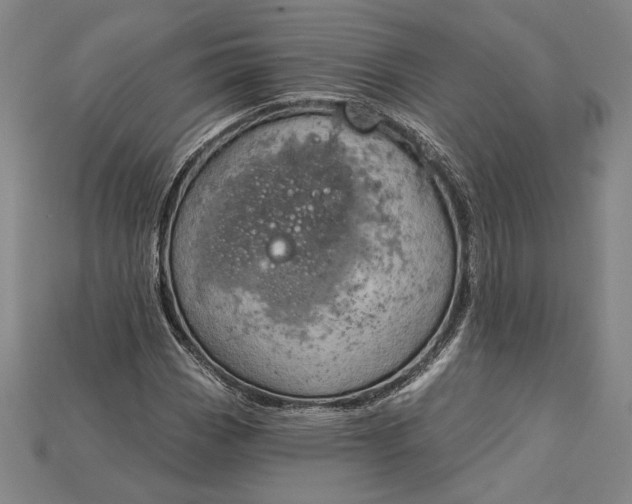 X0000115171113200911121733