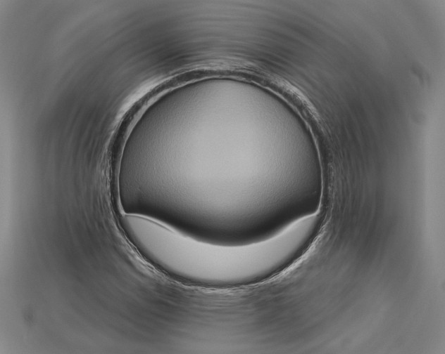 X0000115171114200911121733