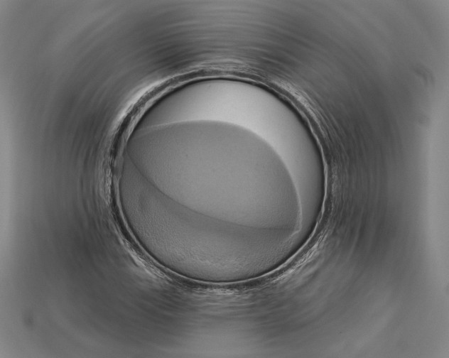 X0000115171115200911121733