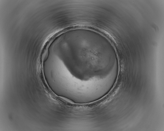 X0000115171117200911121733