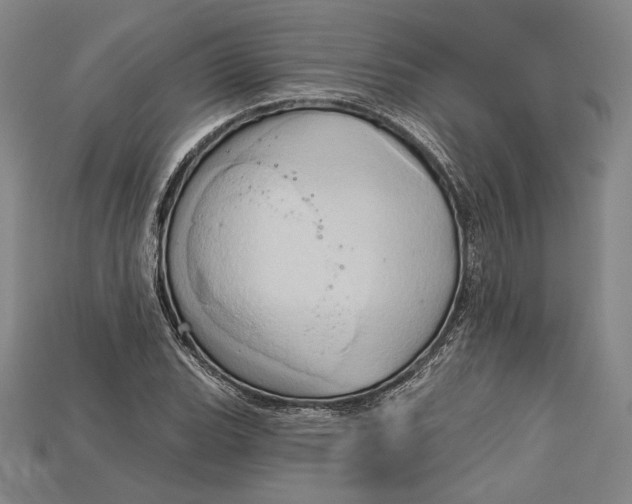 X0000115171119200911121733