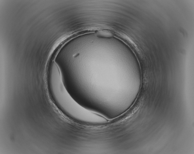 X0000115171122200911121733