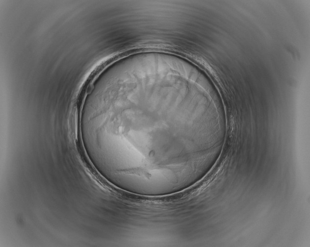 X0000115171123200911121733