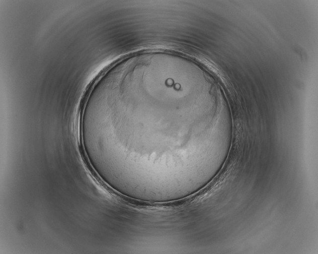 X0000115171127200911121733