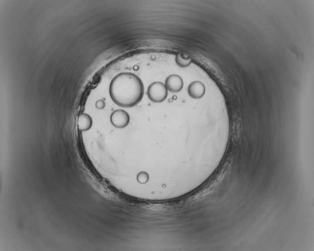 X0000115171130200911121734