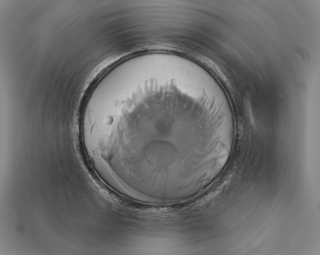 X0000115171133200911121734