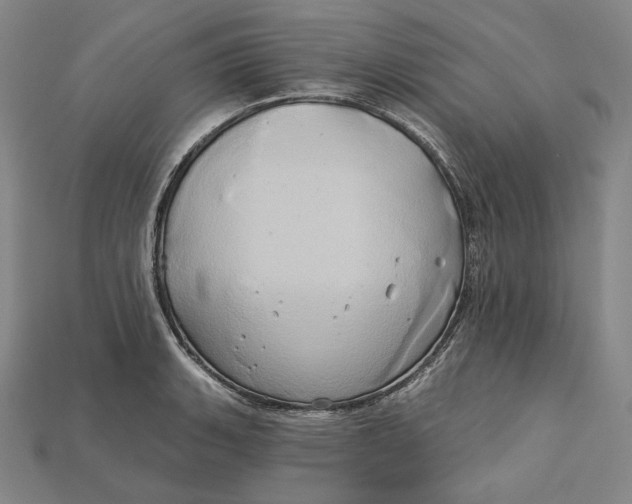 X0000115171135200911121734