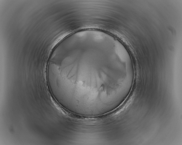 X0000115171137200911121734
