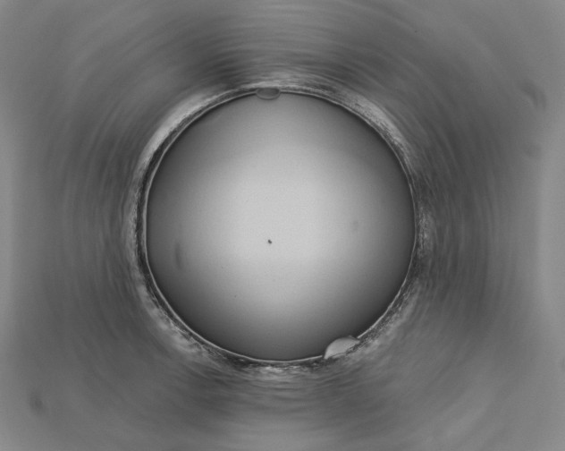 X0000115171138200911121734