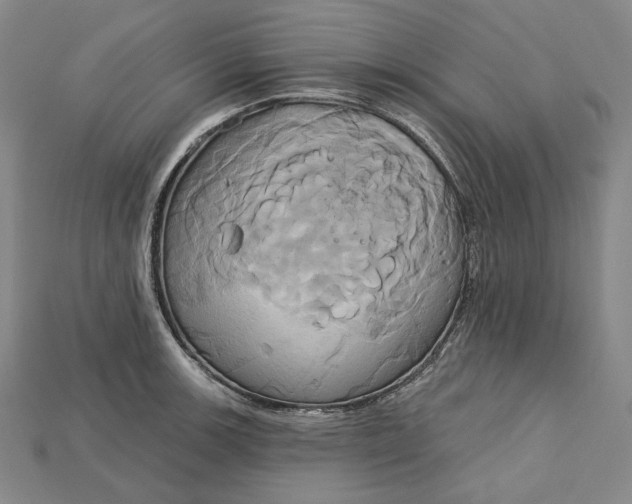 X0000115171139200911121734