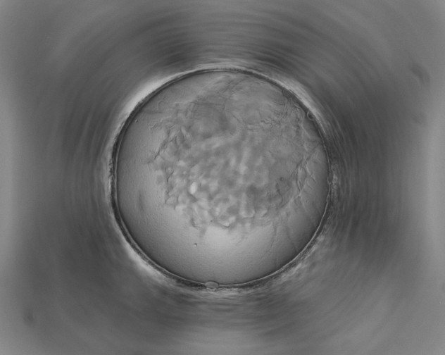 X0000115171143200911121734