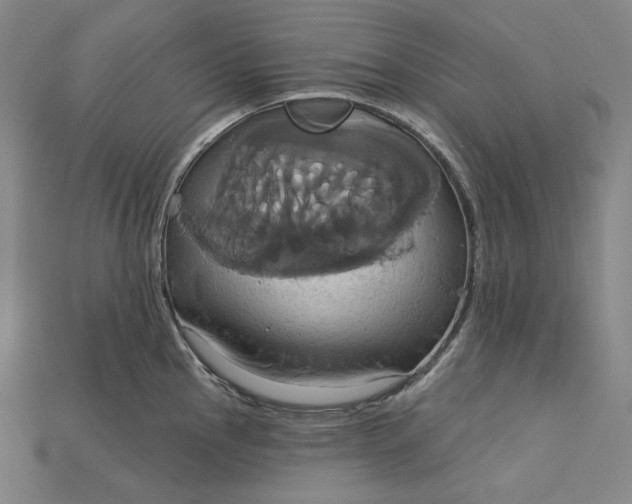 X0000115171145200911121734