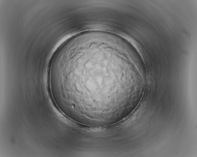 X0000115171147200911121734